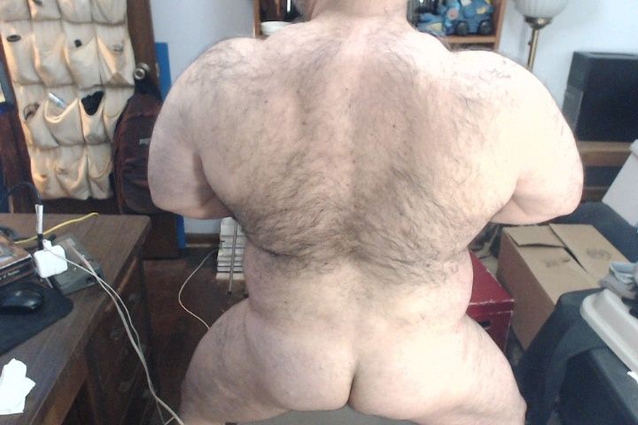 BullMuscleJoe's profile - Image n°4