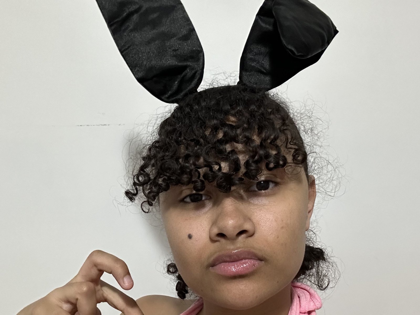 Thatbimbobunny's profile - Image n°0